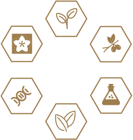 首页|尊龙人生就是博官网入口