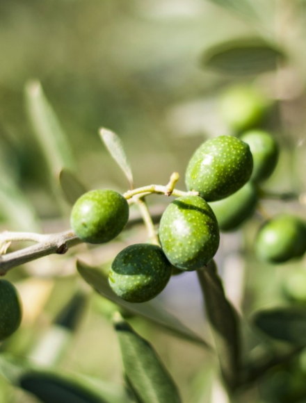 首页|尊龙人生就是博官网入口